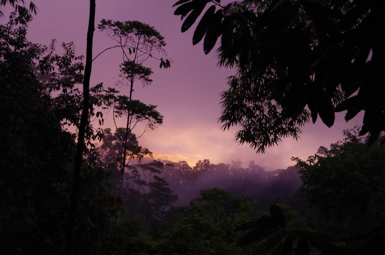 Amazonita Ecolodge Dos Brazos Exterior foto